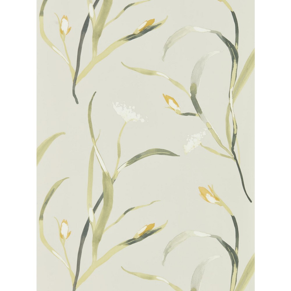 Saona Wallpaper 111757 by Harlequin in Ochre Yellow Linen